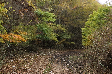a0208560_1321224.jpg