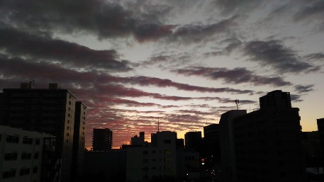 c0190960_225086.jpg