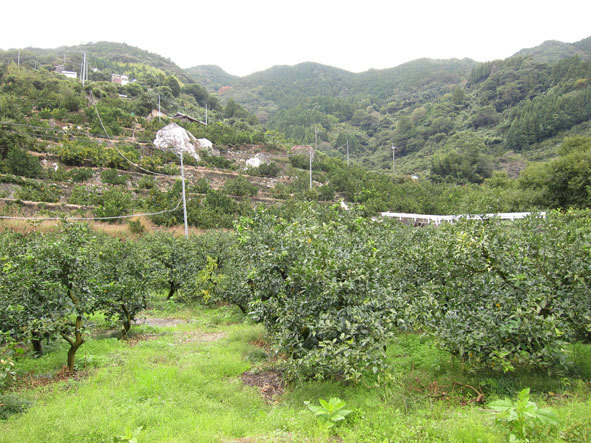e0340660_22444211.jpg