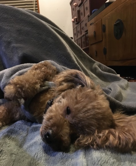 c0120363_19002773.jpeg