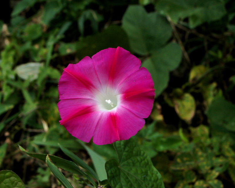 c0305565_17493717.jpg
