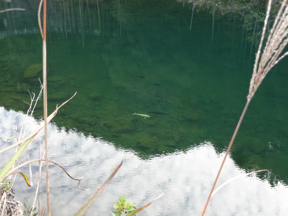 c0245666_082082.jpg