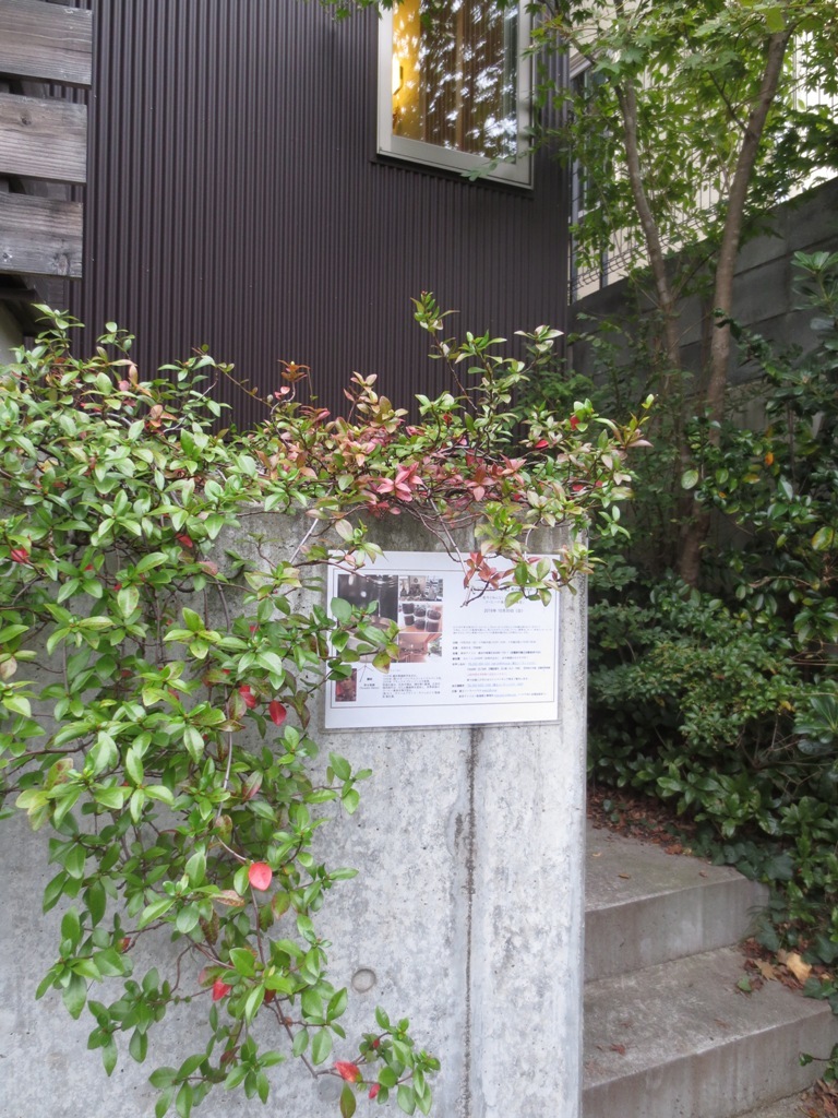 第5回 【青葉・都筑】町の縁側サロン「コーヒーの基礎知識講座」2016年10月30日(日)開催しました_c0310571_20143830.jpg