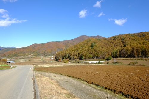 d0078471_1321279.jpg
