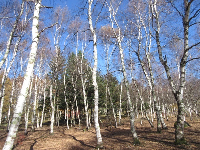 f0100871_20594211.jpg