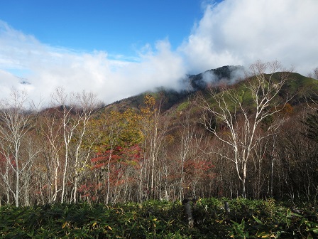 f0302771_14572510.jpg