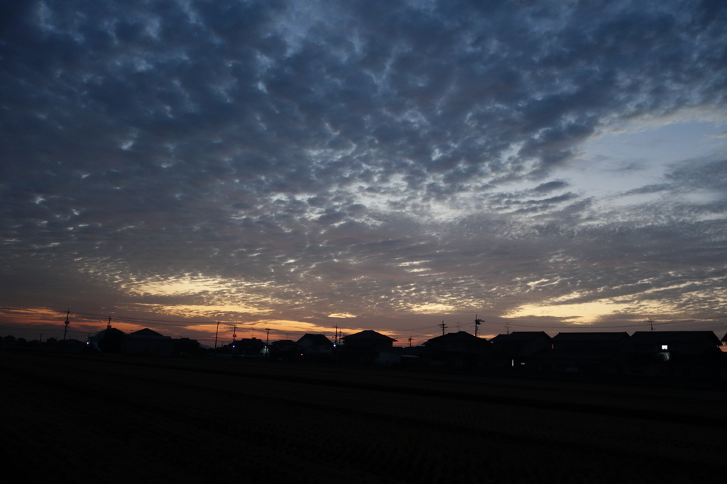 c0216472_795483.jpg