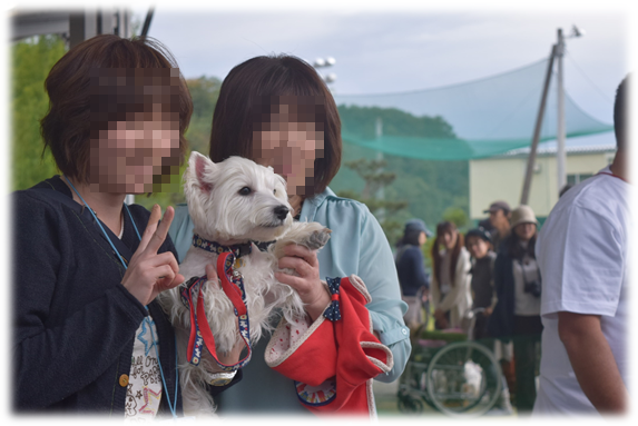 b0242873_01093960.png