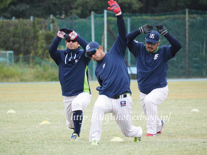 11/2ヤクルト戸田秋季練習見学、午前の部フォトその1_e0222575_2111280.jpg