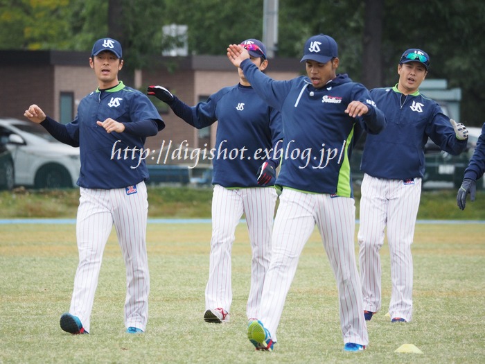 11/2ヤクルト戸田秋季練習見学、午前の部フォトその1_e0222575_2112448.jpg