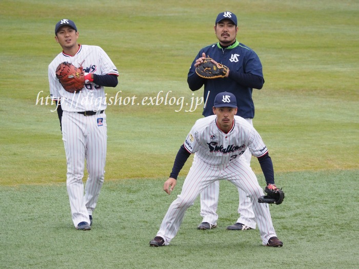 11/2ヤクルト戸田秋季練習見学、午前の部フォトその1_e0222575_21324865.jpg