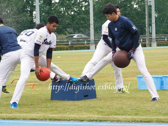 11/2ヤクルト戸田秋季練習見学、午前の部フォトその1_e0222575_21331991.jpg