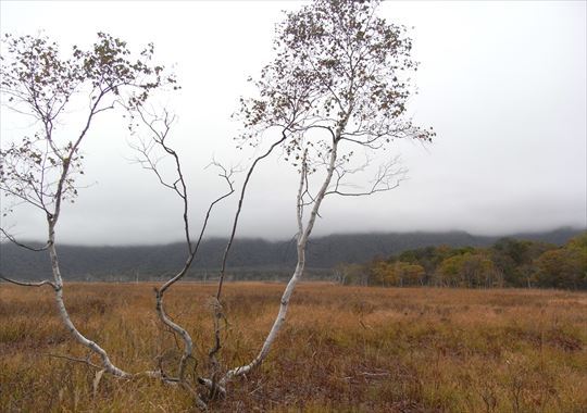 b0346378_12331981.jpg
