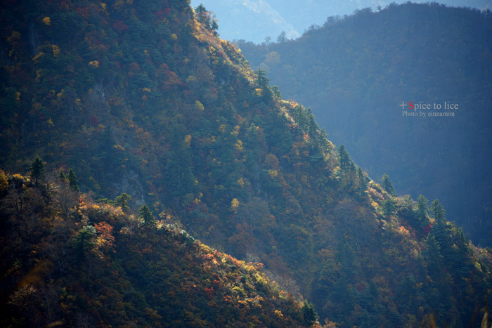 autumn colors (八海山編)_f0326278_22565424.jpg