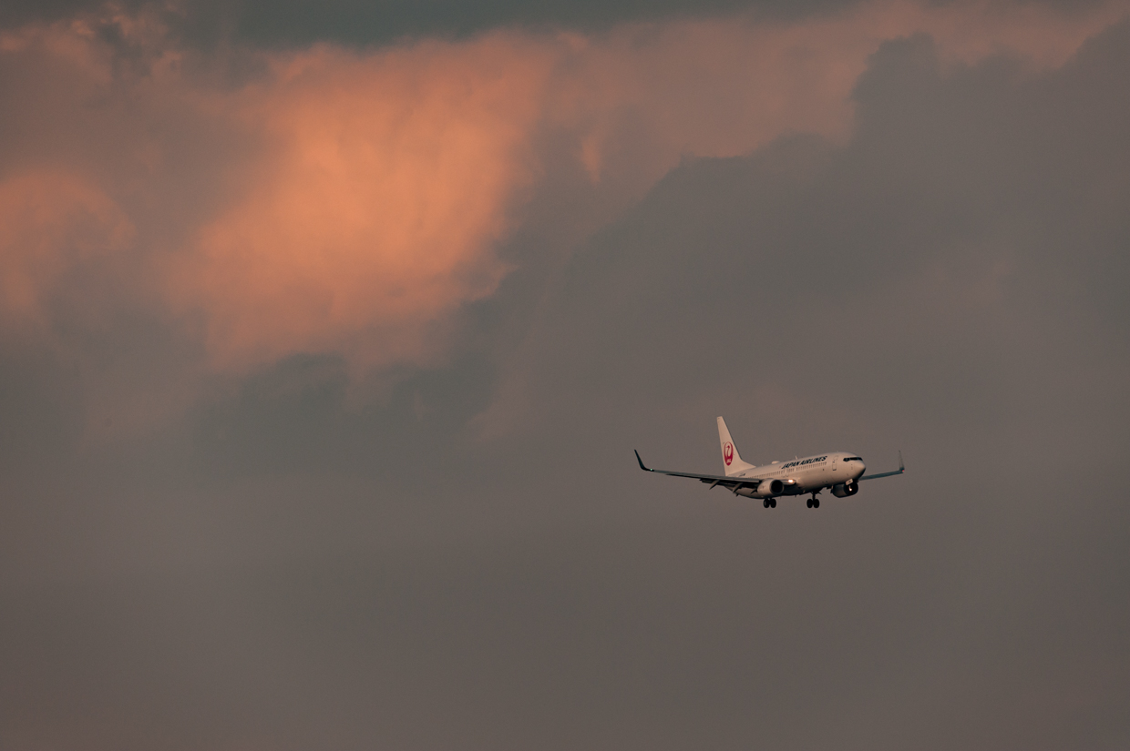b0001380_2561823.jpg