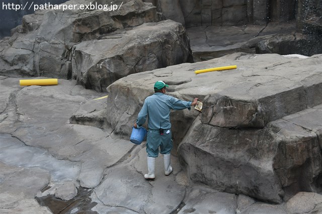 ２０１６年１０月　王子動物園　その３ みゆきパン_a0052986_7243534.jpg