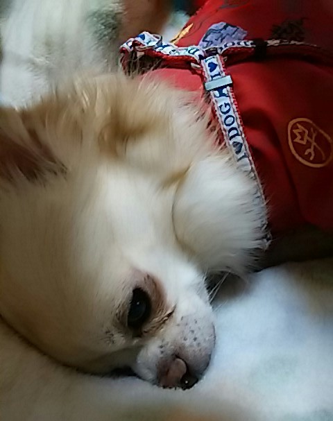 f0280186_2017485.jpg