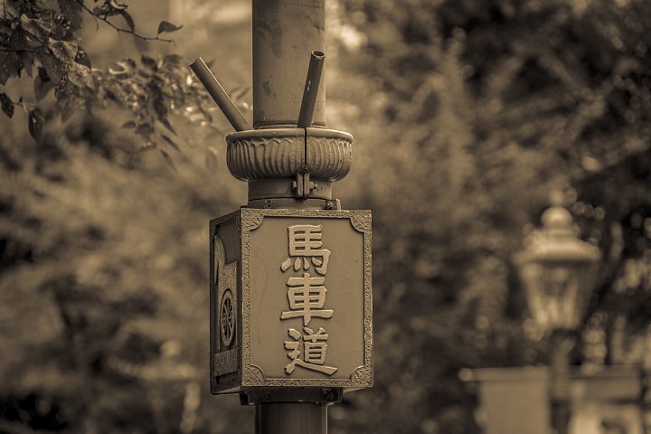 光蜥蜴がどこかに行ってしまった横浜_d0353489_14225491.jpg