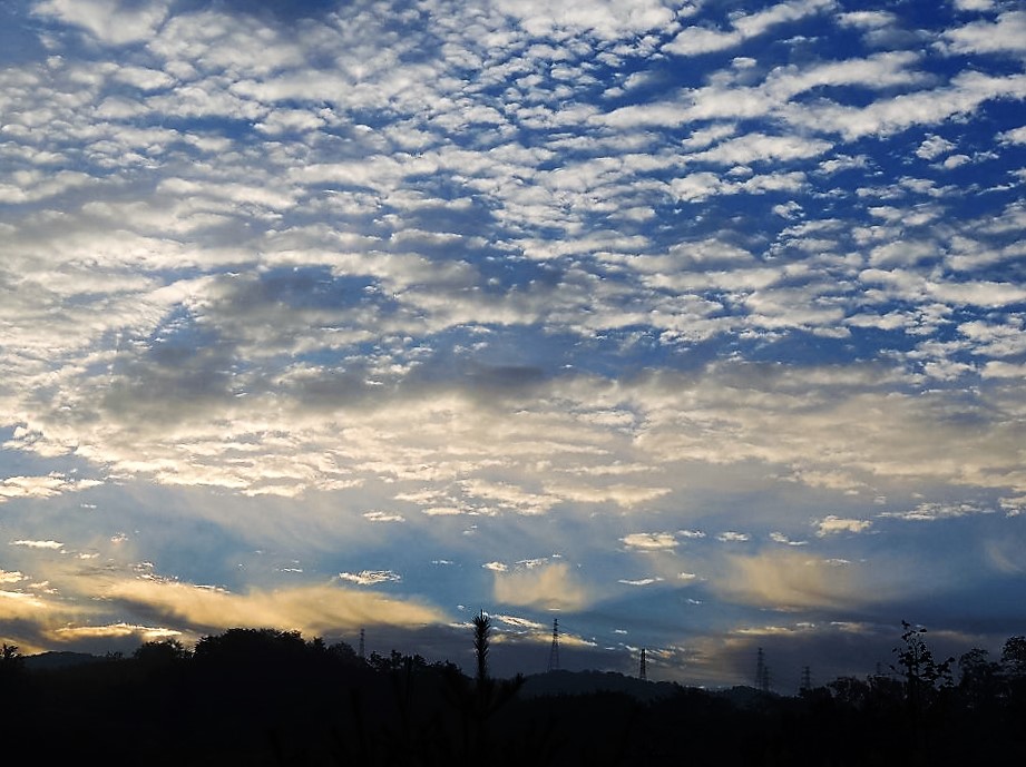 c0265095_2228412.jpg