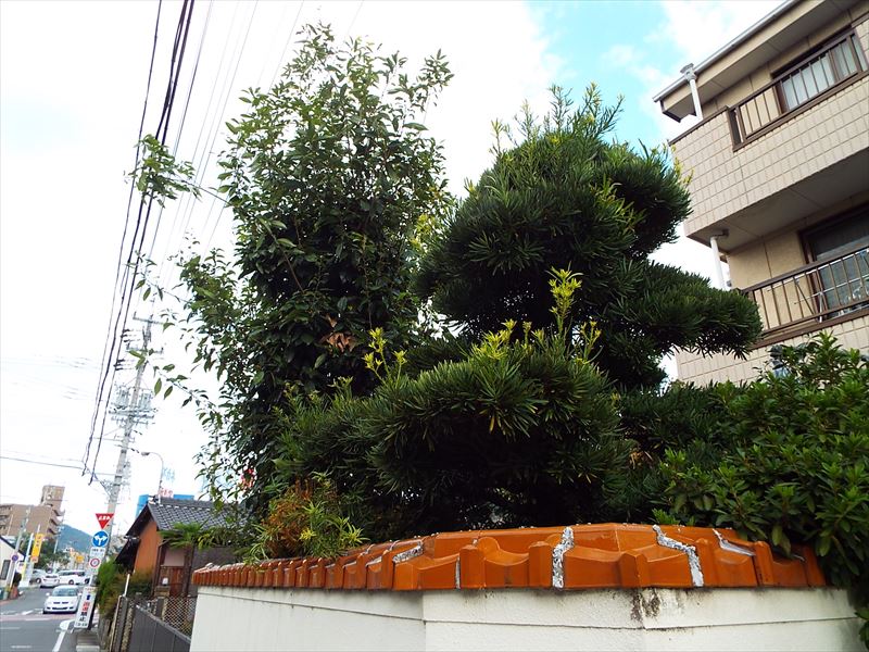 c0108198_15292370.jpg
