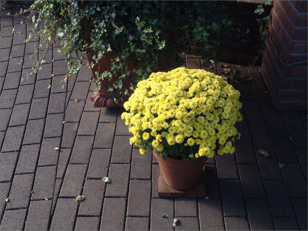 d0353401_20335619.jpg