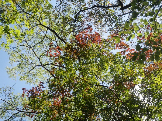 f0187402_20574581.jpg