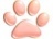 センターわんこの里親会_f0242002_11000038.jpg