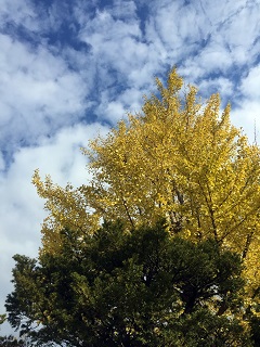 c0028304_22474331.jpg