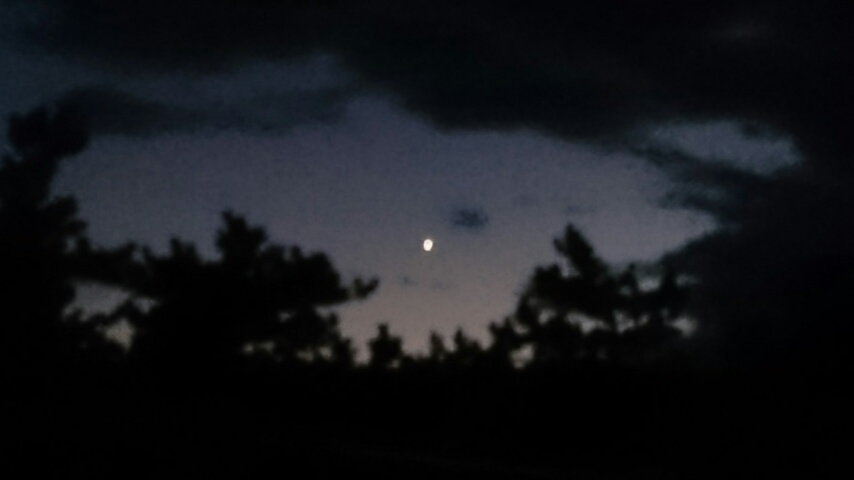 d0149105_601794.jpg