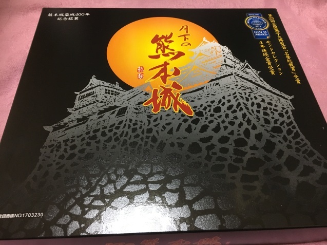 月下の熊本城_a0100706_18060643.jpg