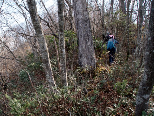 2016年11 月2日(火) 幌扶斯山(ホロプスヤマ? 標高412.5m)&岩屋観音_a0345007_2114126.jpg