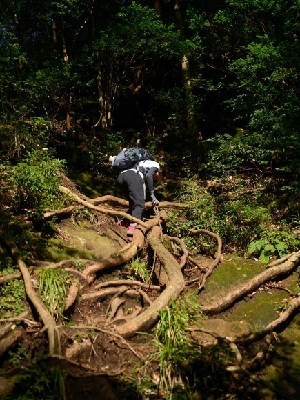 b0277008_20594100.jpg