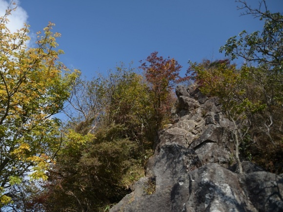b0277008_21123686.jpg