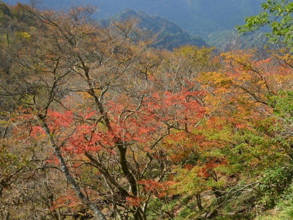 b0277008_21161410.jpg