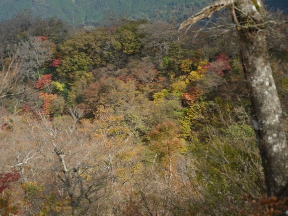 b0277008_21193633.jpg