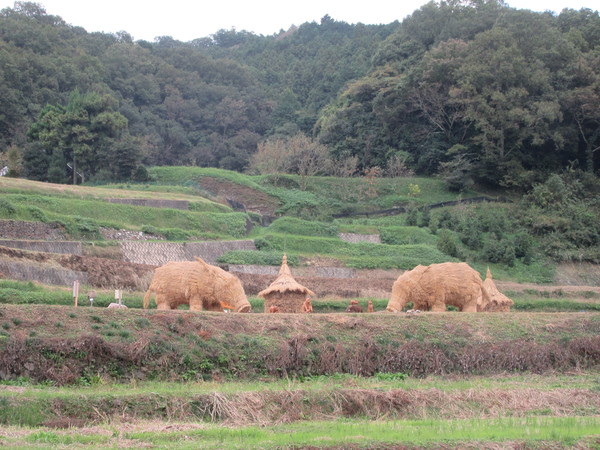 f0231709_13352335.jpg