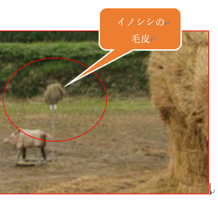 f0231709_2302725.png