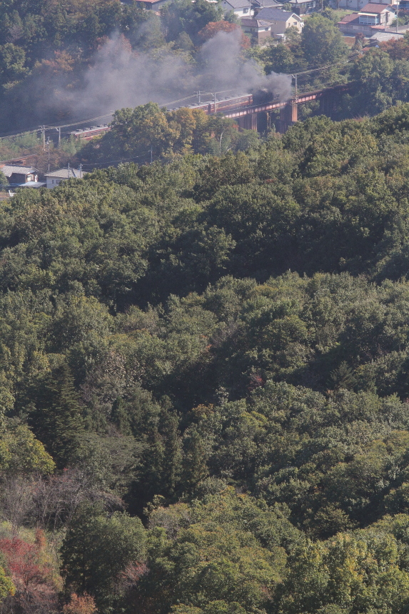 緑重なる秋の山の向こうに煙幕舞う - 2016年秋・秩父 - _b0190710_23173146.jpg