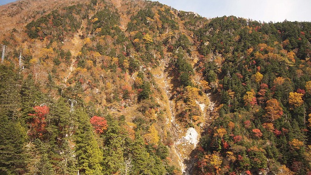 e0121110_22275147.jpg