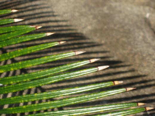 c0062511_20125613.jpg