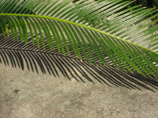 c0062511_20134994.jpg