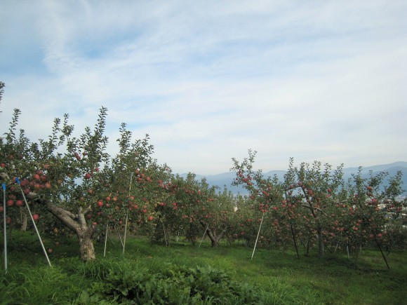 f0032812_15005231.jpg