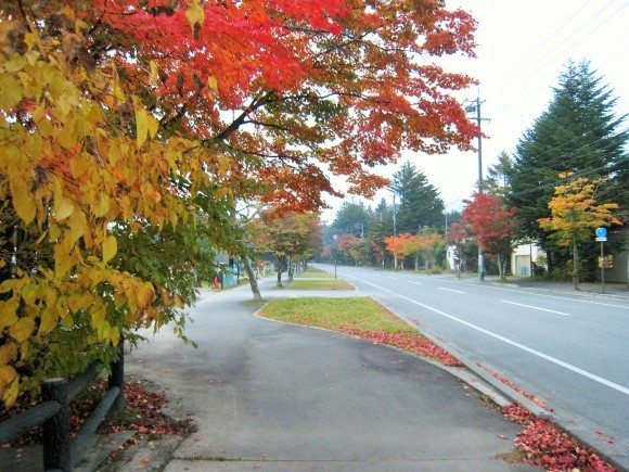 f0032812_15250760.jpg