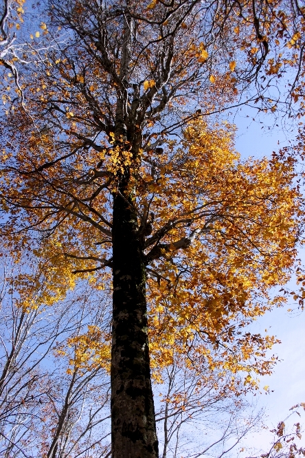 a0309917_13045211.jpg