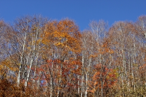 a0309917_13100327.jpg