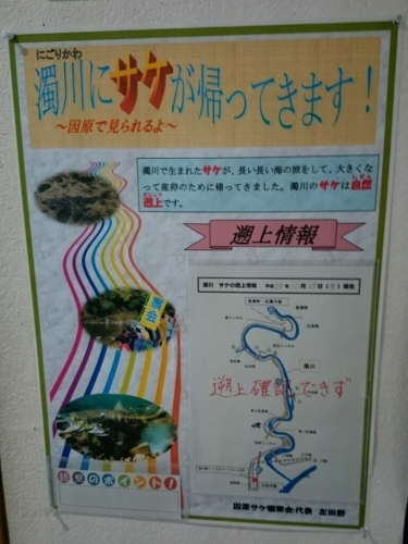 c0213817_05040586.jpg