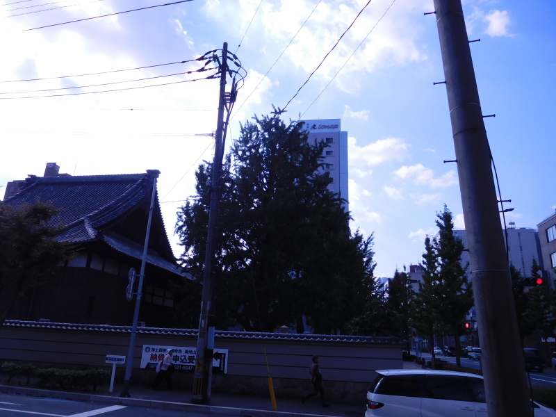 a0125419_22141831.jpg