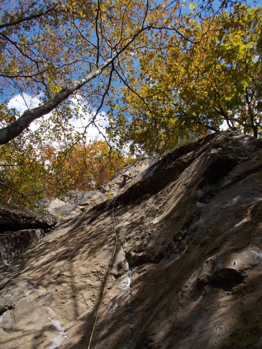 b0037220_21291620.jpg