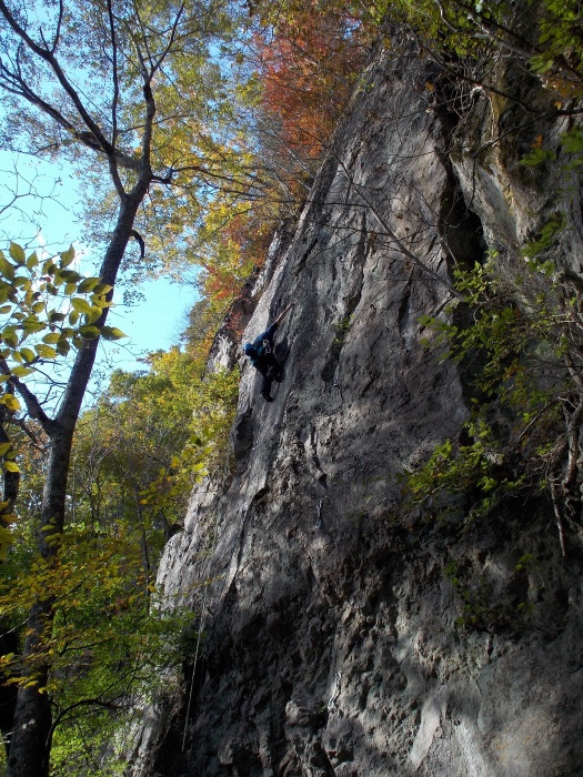 b0037220_21332959.jpg