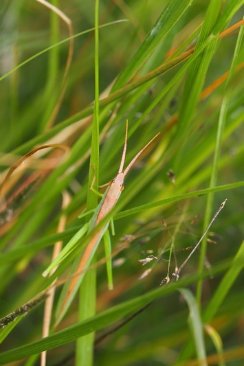 c0369423_22115237.jpg